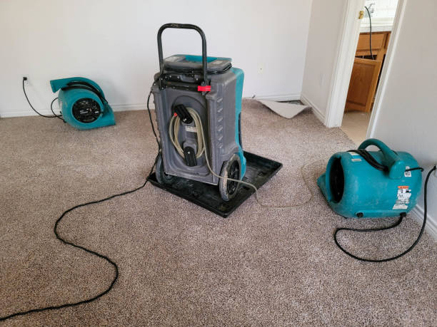 Best Carpet water damage restoration  in Richfield, WI
