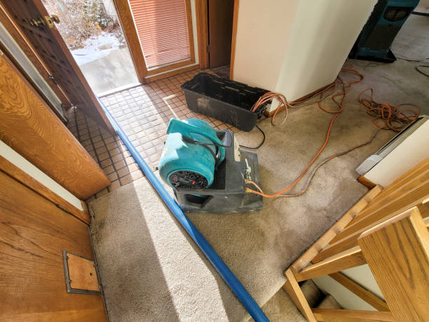Best Basement water damage restoration  in Richfield, WI