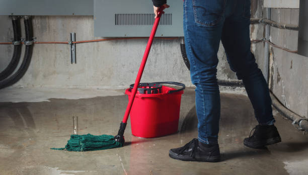Water damage restoration mold remediation in WI