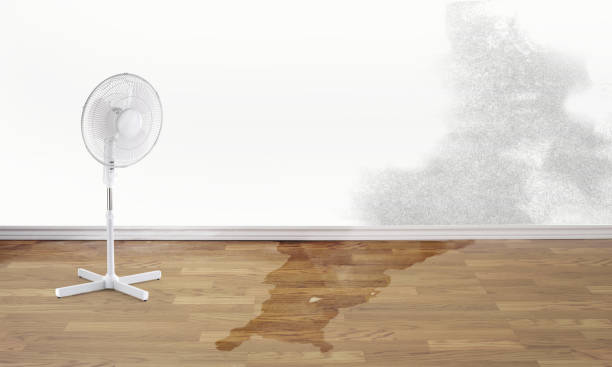 Best Sewage cleanup and water damage restoration  in Richfield, WI