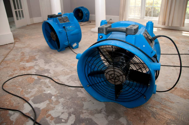 Best Water damage cleanup near me  in Richfield, WI