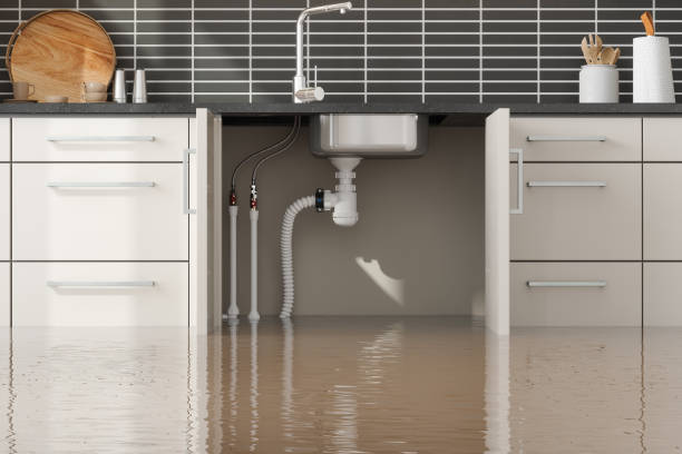 Best Carpet water damage restoration  in Richfield, WI