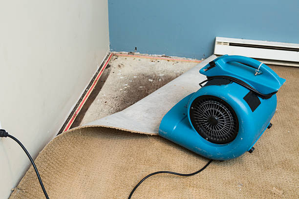 Best Sewage cleanup and water damage restoration  in Richfield, WI